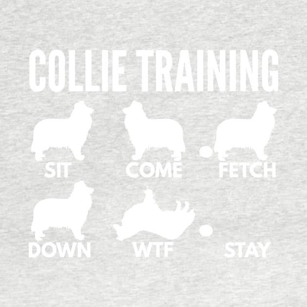 Rough Collie Training Rough Collie Dog Tricks by DoggyStyles